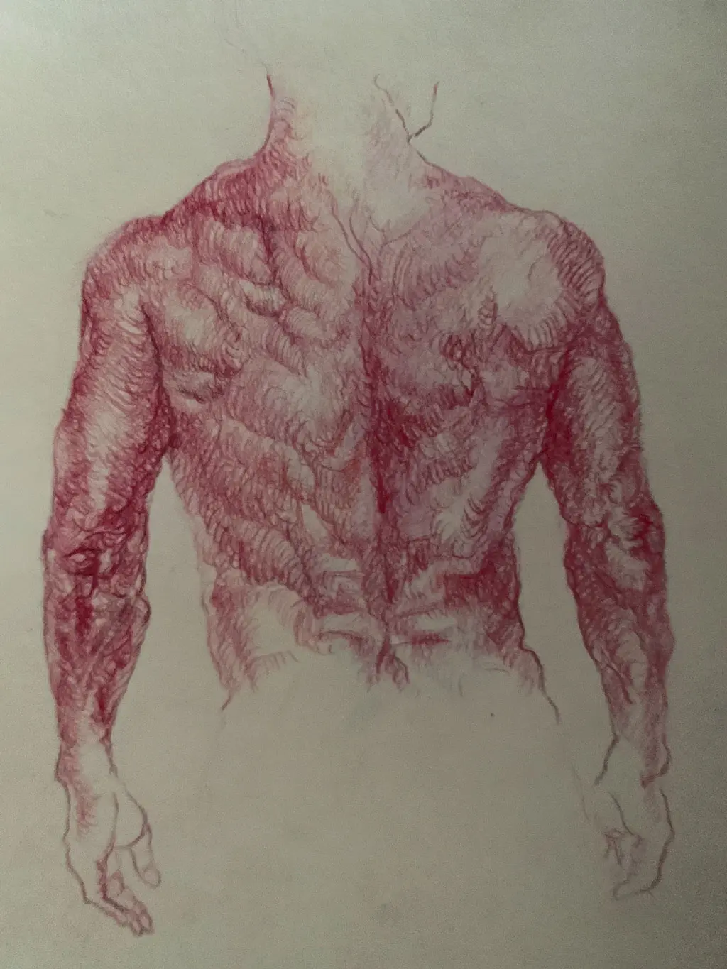 Clases de dibujo y pintura en Uruguay - Bargue académico
