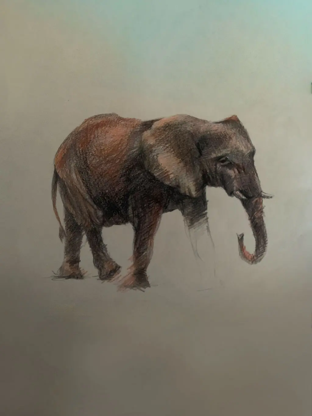 Clases de dibujo y pintura en Uruguay - Bargue académico