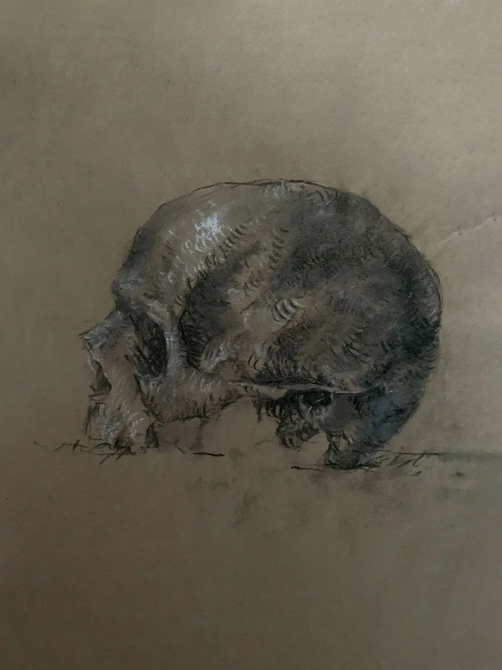 Clases de dibujo y pintura en Uruguay - Bargue académico