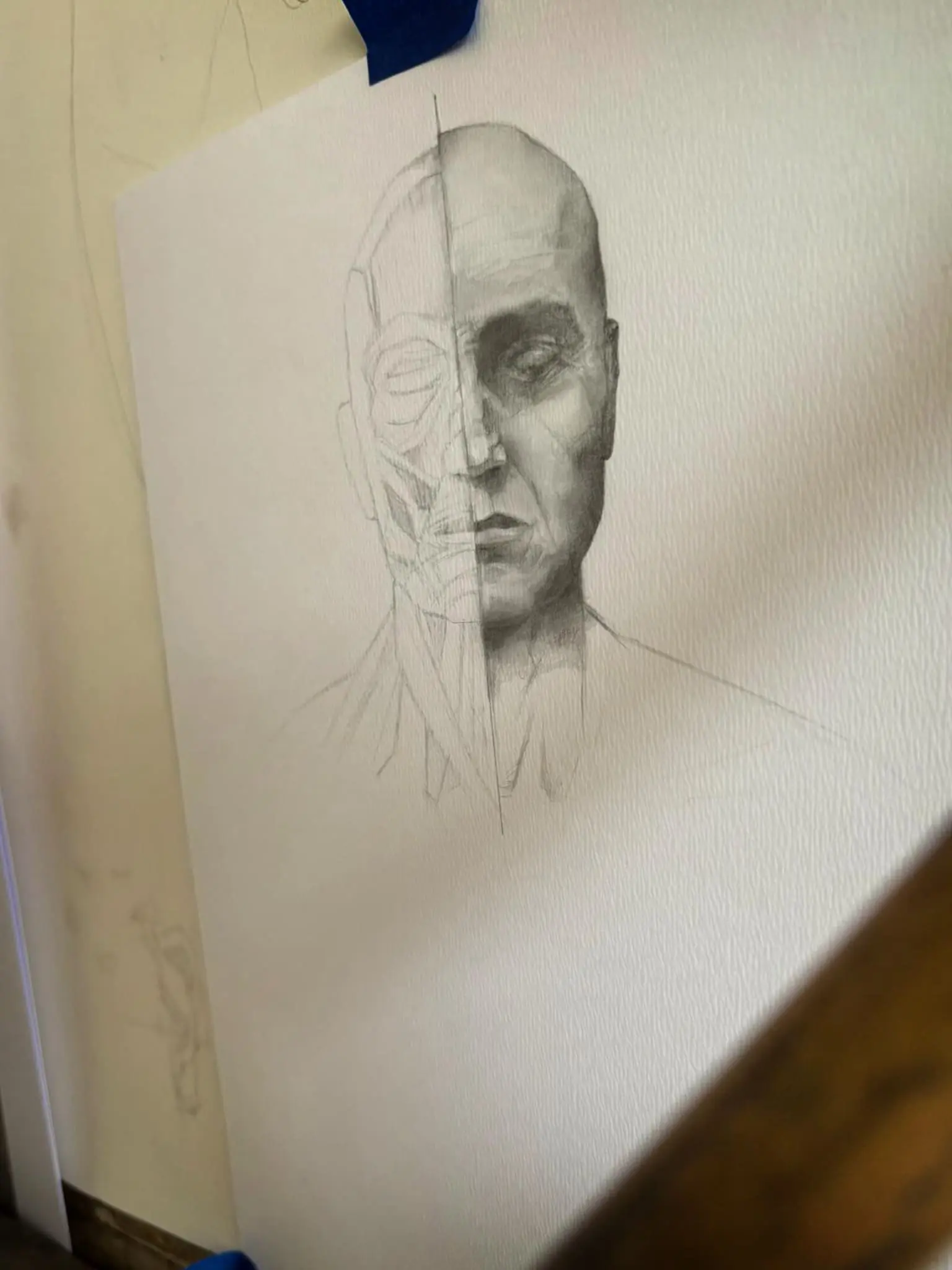 Clases de dibujo y pintura en Uruguay - Prelogart Estudio desollado, dibujo de ecorhe. Mitad del rostro con piel, la otra mitad desollada se deja estudiar los músculos y anatomía faciales