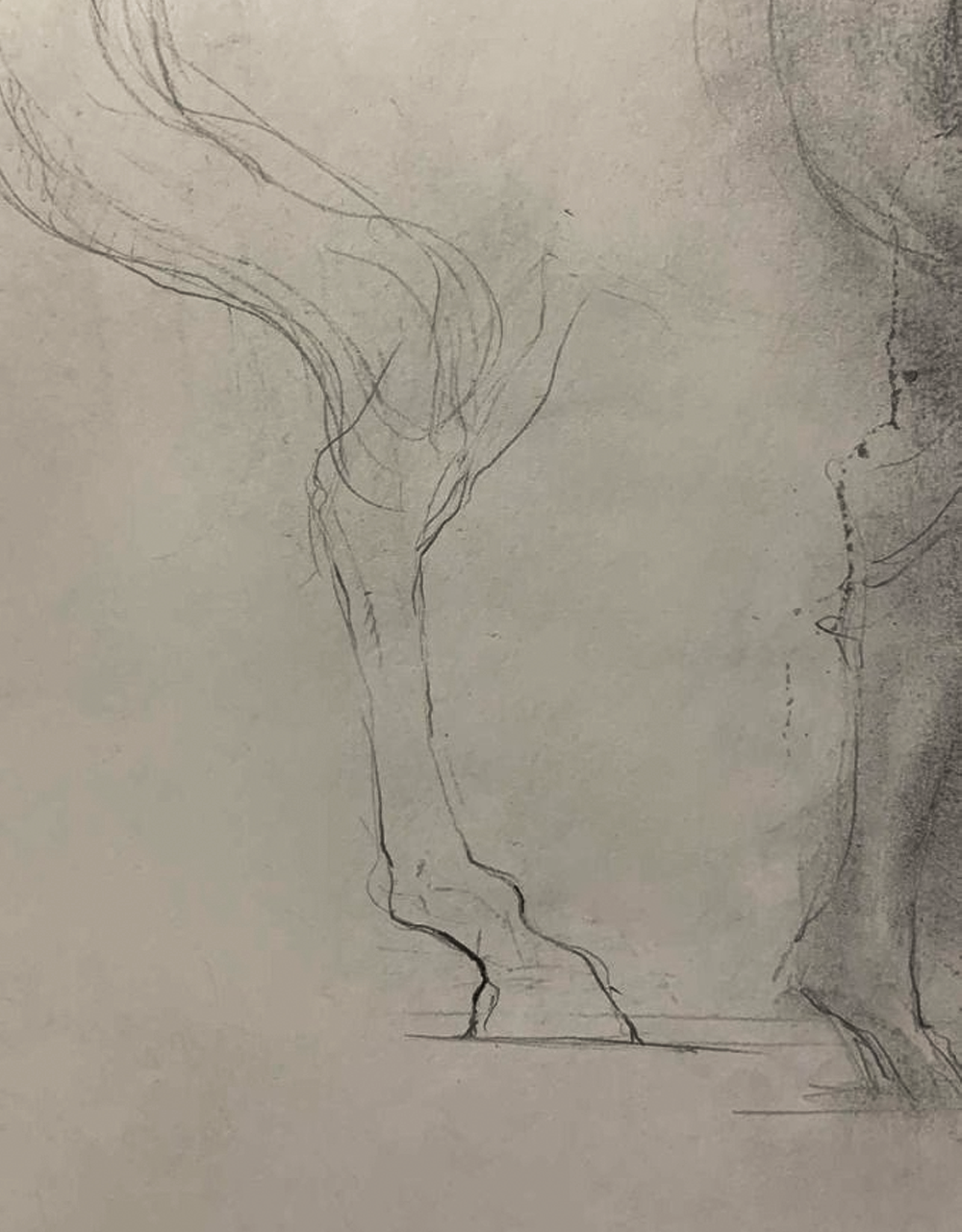 Clases de dibujo y pintura en Montevideo